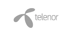 Business_English_Clients_Telenor